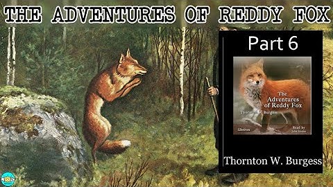 The Adventures of Reddy Fox - Videobook | P6 🎧 Audiobook with Scrolling Text 📖