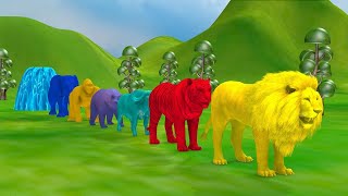 Long Slide Game With Elephant Gorilla Buffalo Hippopotamus Tiger - 3d Animal Game - Funny 3d Animals