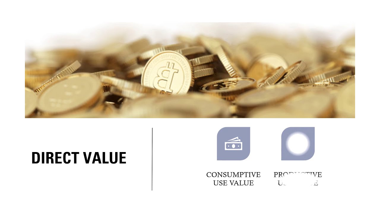 Value of Biodiversity