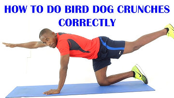Thumbnail of How to Do Bird Dog Crunches for Core Strength | Exercise of The Day #20