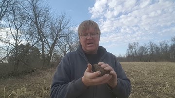 soil compacting in no till...