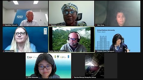 Healthy Planet, Healthy People: Role of the Satoyama Initiative for Green and Blue Recovery