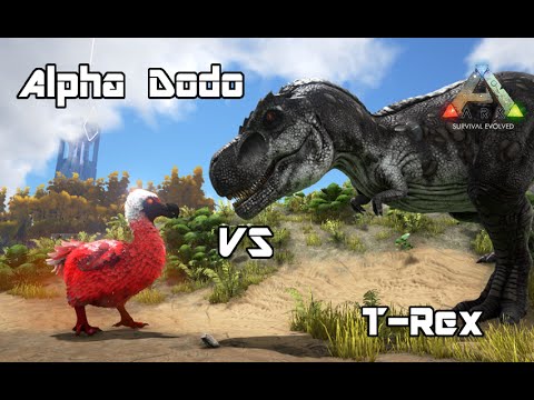 ark: survival evolved - alpha dodo vs t-rex - dino battle - youtube