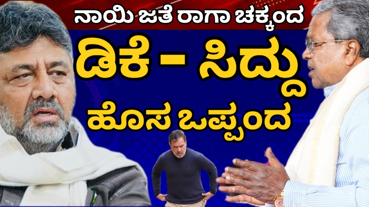 ಡಿಕೆ-ಸಿದ್ದರಾಮಯ್ಯ ಮಧ್ಯೆ ಹೊಸ ಒಪ್ಪಂದ! ನಾಯಿ ಜತೆ ರಾಹುಲ್ ಗಾಂಧಿ ಚಕ್ಕಂದ #dkshivakumar #dcmdkshivakumar #dks 