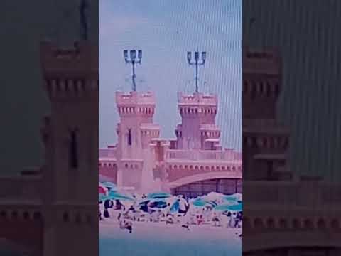 اسكندريه تانى زيزينيا 