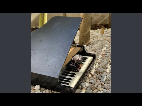 Grand Waltz マスカレードホテル メインタイトル Instrumental