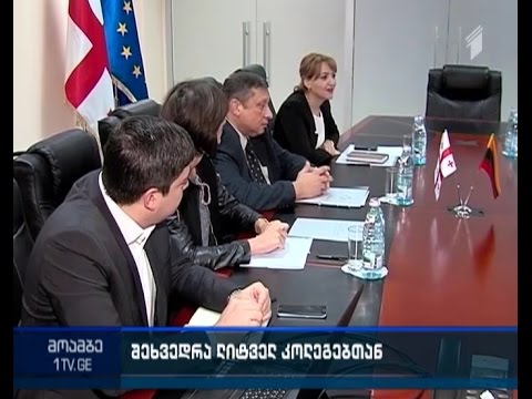 მაიკლ ო ბოილი - საქართველოს შეუძლია იამაყოს ახალი კანონით „პროკურატურის შესახებ“