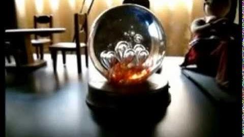 the Animate & the Inanimate