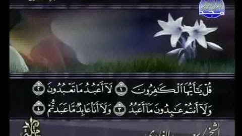 سورة الكافرون كاملة الشيخ سعد الغامدي