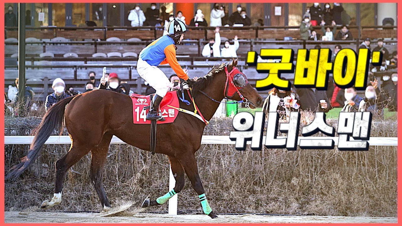 전설을 쓰고 은퇴한 ‘위대한 명마’ 위너스맨