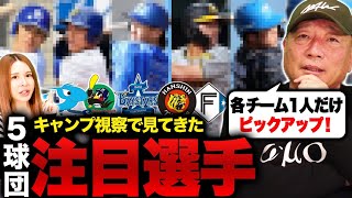 【春季キャンプ】『今年覚醒の予感がする』沖縄キャンプで実際に見た各球団の注目選手は…⁉︎【中日】【ヤクルト】【横浜DeNA】【日本ハム】【阪神】