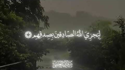 سورة الأحزاب : ٢٣ صفحه 