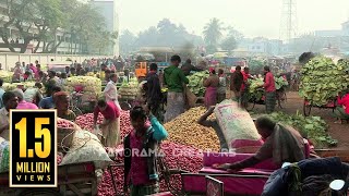 বগুড়ার মহাস্থানে বিখ্যাত সবজির হাট | Famous Vegetable Market in Bangladesh