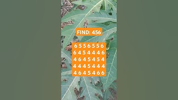 Observation Visual Test: 5 Seconds ForYou To Spot 456. Try Your Skills! #search #puzzle #shorts
