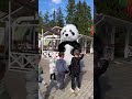 Подарок Панда от Мамы и Папы