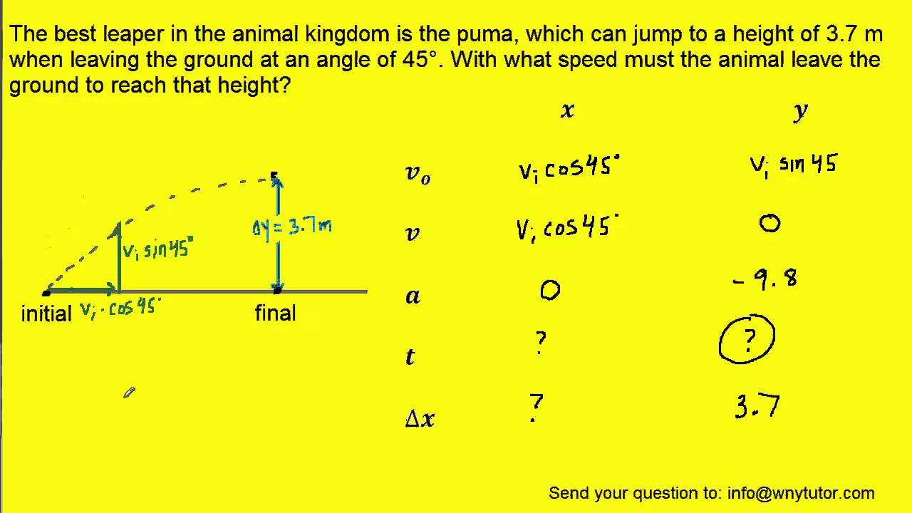 a puma can jump to a height of 3.7 m