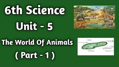 6th Science | Unit - 5 | The World Of Animals | ( Part - 1 )