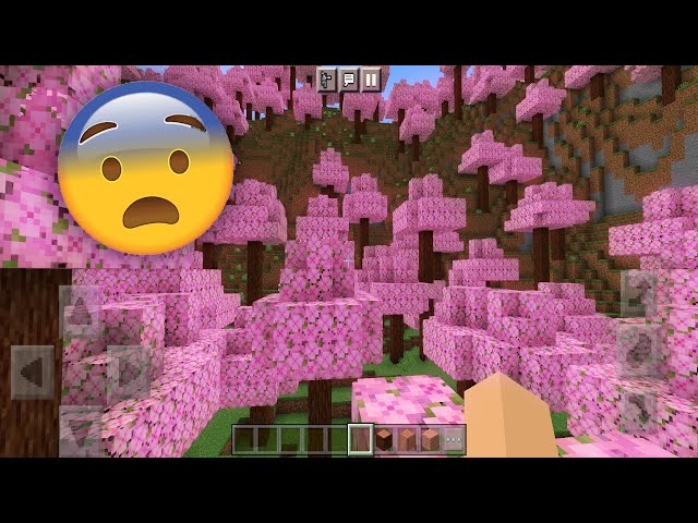 Minecraft Portal 🎄🇧🇷 on X: 🚨🚨URGENTE!! Um NOVO bioma está a caminho  na versão 1.20: o bioma de cerejeira! Esconda-se sob as amplas copas,  passeie pelos blocos de tapetes de flores rosa