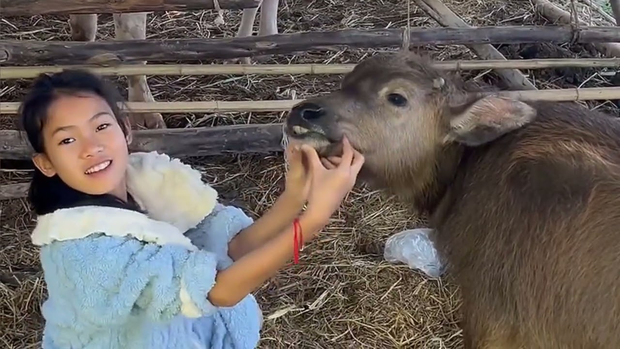 กิจกรรมยามว่าง ธิดาลาวแต่ละมื้อ‼️ทำไรบ้าง!?