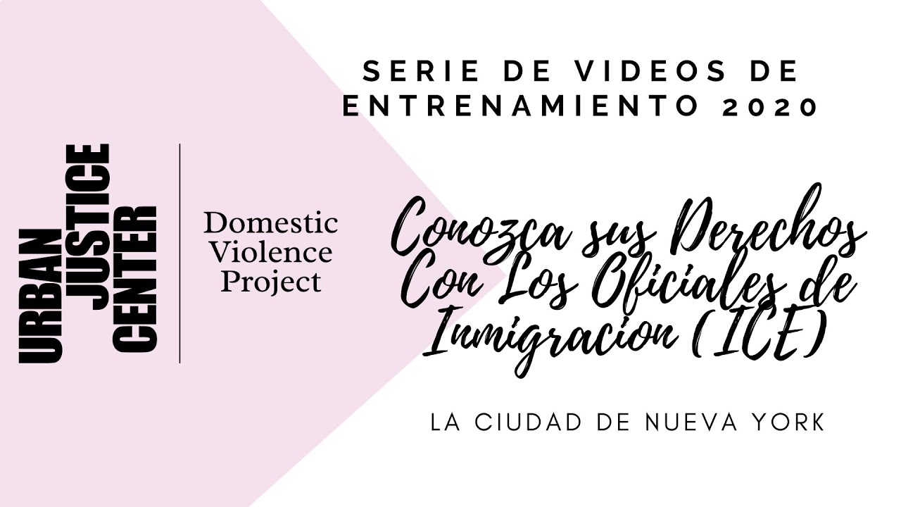 Training Videos Domestic Violence Project