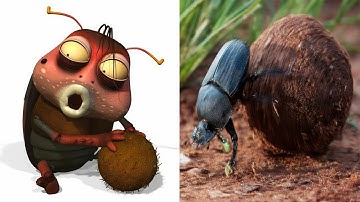 Larva Characters In Real Life | All Characters 2017