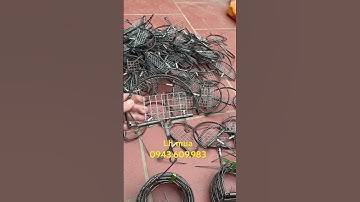 Kẹp bán Nguyệt bẫy cò bẫy chuột siêu hiệu quả bao ship từ 30 chiếc