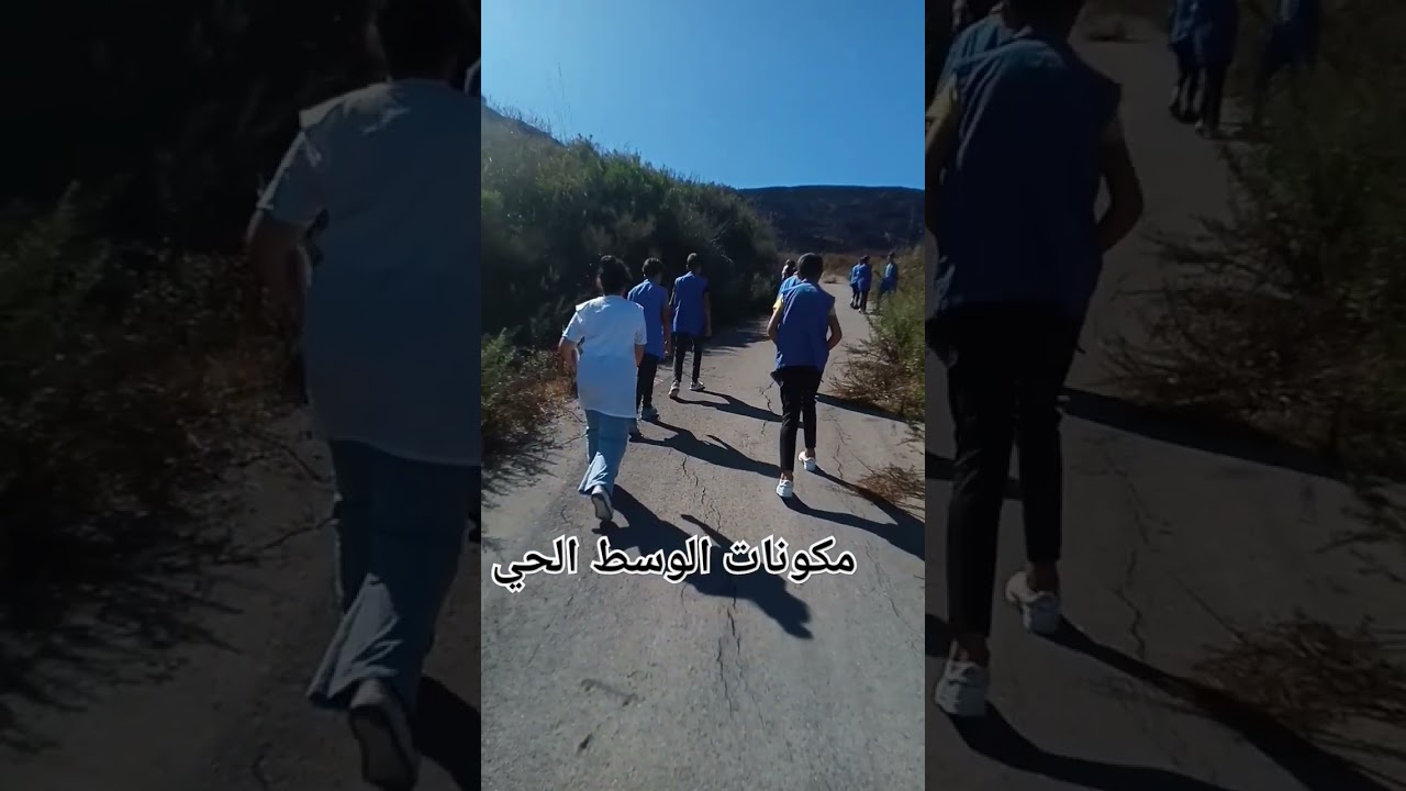 الوسط الحي