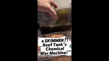 “What the Heck is a SKIMMER?! 💨 | Reef Tank’s Chemical War Machine!”