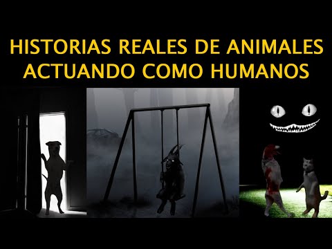 Video: 250 perros capturan brillantemente la verdad entre humanos y perros en "Dios blanco"