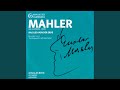 Miniature de la vidéo de la chanson Das Lied Von Der Erde: Von Der Schönheit