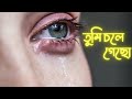 Tumi chole gecho  audio lyrical song  priyotama  sujit  echo bengali modern song