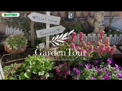 🕊Garden Tour🕊09：母親が残してくれたお花や多肉植物を大切に育てる、日当たりの良いお庭