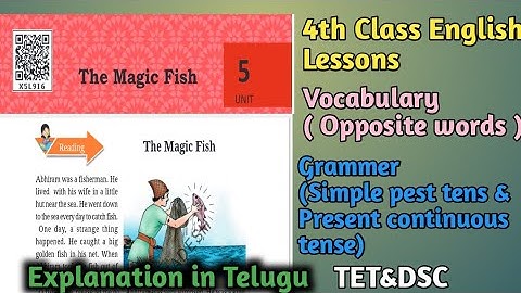 4th Class English || Unit-5 The Magic Fish || English grammar for TET & DSC || Learn with Sreeram