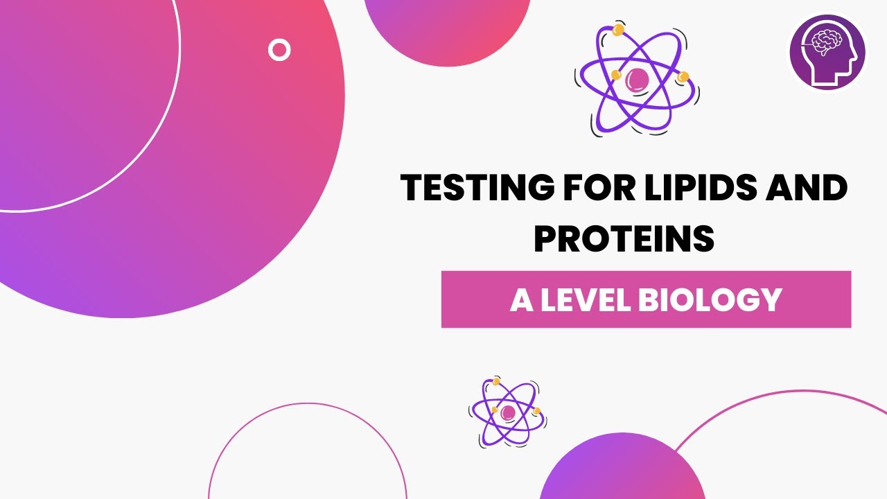 Testing for Lipids and Proteins A Level Biology OCR, AQA, Edexcel