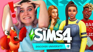 losing my mind over the SIMS 4 UNIVERSITY