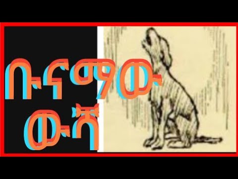 ቪዲዮ: በቻይና የተከለከለ ውሻ የሚበላ ካርኔቫል ታገደ