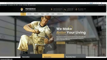 Video guide install data example Handylexo WordPress Theme
