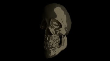 Skull animation