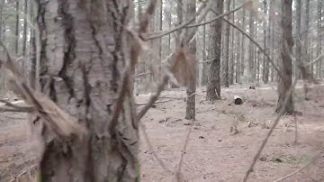 Adding Rivers, Mountains, And Forests To Your Fantasy Map