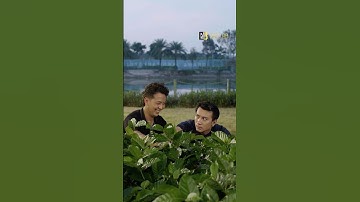 Vậy mới vừa cái tật nhiều chuyện 🤣 #bablab #BAB2501C017