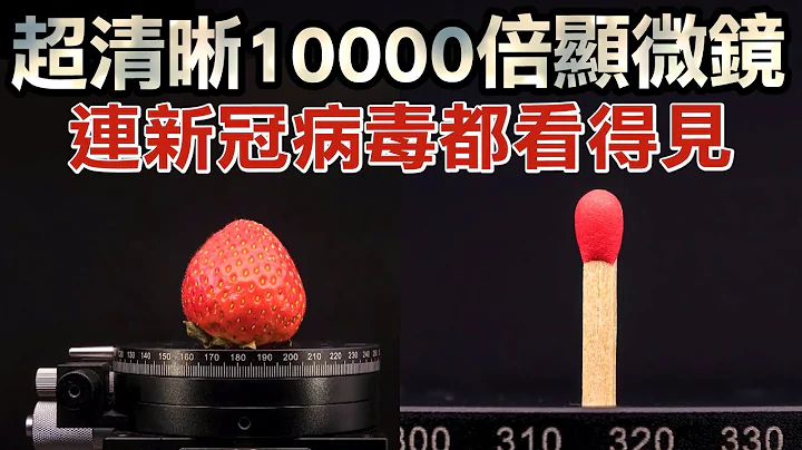 超清晰10000倍顯微鏡！連病毒都看得見 Something under the Microscope.Unseen World in SUPER ZOOM! - 天天要聞