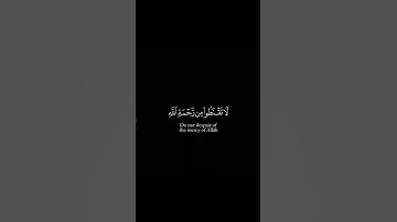 سورة الزمر #القرآن_الكريم #quran #ياسر_الدوسري #سورة #تلاوات #تلاوة #اسلام #الدعاء #ايات #قرآن #how