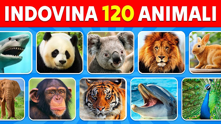 Indovina 120 Animali in 3 Secondi | Facile, Medio, Difficile, Impossibile