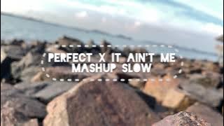 Mashup Slow - Perfect X It Ain't Me ( Melodi Gani-Gani X Tehiba )