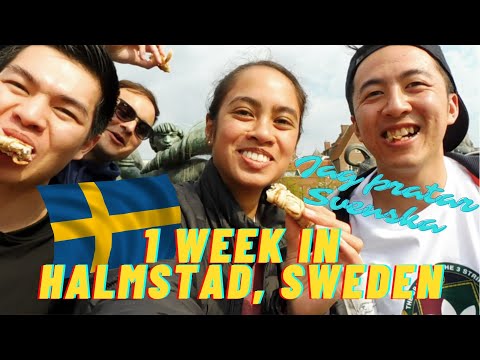 Vlog #57 TRIP to HALMSTAD, Sweden