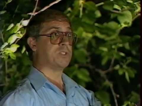 ძმები ობოლაძეები - მუხამბაზი