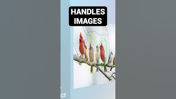 Meta Launches Llama 4 — The Multimodal AI Powerhouse You