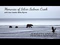 Memories of Silver Salmon Creek, by JVO Photo Safaris leader Mike Byrne