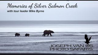 Memories of Silver Salmon Creek, by JVO Photo Safaris leader Mike Byrne