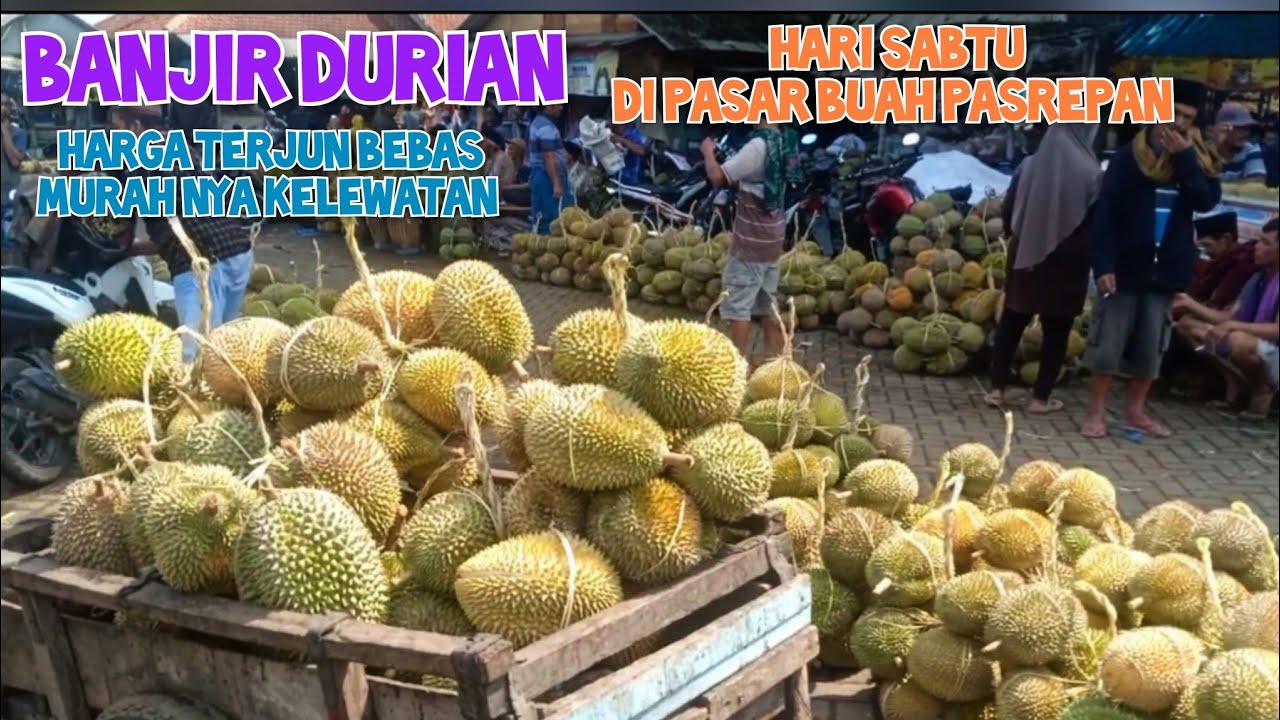 BANJIR DURIAN DI PASAR BUAH PASREPAN HARGA TERJUN BEBAS ANJLOK MURAH SEKALA KECIL ATAU SEKALA BESAR